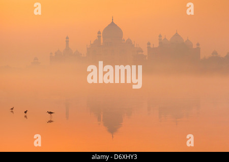 Skyline del Taj Mahal, Agra, Uttar Pradesh, India Foto Stock