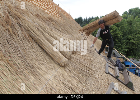 Schierensee, Germania, buona Schirensee ottiene nuovi sterpaglia Foto Stock