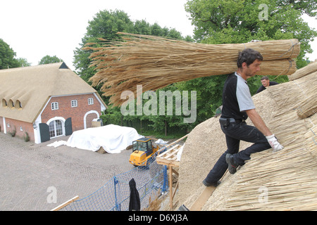 Schierensee, Germania, buona Schirensee ottiene nuovi sterpaglia Foto Stock