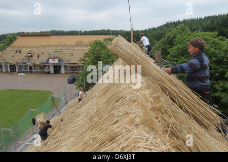 Schierensee, Germania, buona Schirensee ottiene nuovi sterpaglia Foto Stock