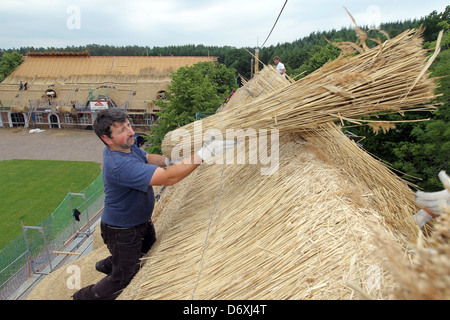 Schierensee, Germania, buona Schirensee ottiene nuovi sterpaglia Foto Stock