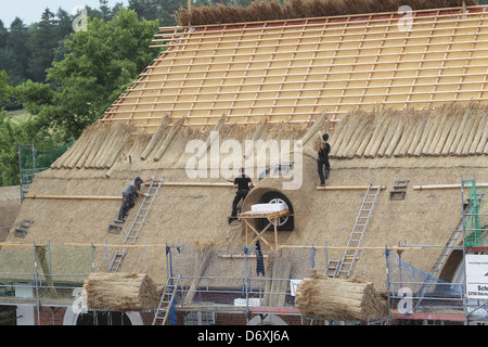 Schierensee, Germania, buona Schirensee ottiene nuovi sterpaglia Foto Stock