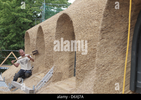 Schierensee, Germania, buona Schirensee ottiene nuovi sterpaglia Foto Stock