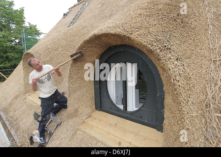 Schierensee, Germania, buona Schirensee ottiene nuovi sterpaglia Foto Stock