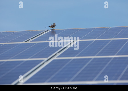 Nordhackstedt, Germania, fattoria solare costituito da sistemi di tracciamento Foto Stock