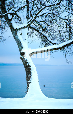 Una immagine di una bella struttura invernale Foto Stock