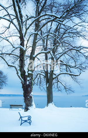 Una immagine di una bella struttura invernale Foto Stock