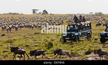 Jeep Safari guardando gnu migrazione, Masai Mara, Kenya Foto Stock