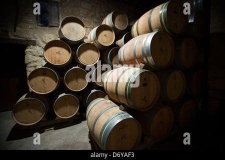 Rioja vino in quercia americana di barili in grotta a Bodegas Agricola Bastida in Rioja-Alaveda area del Paese Basco, Spagna Foto Stock