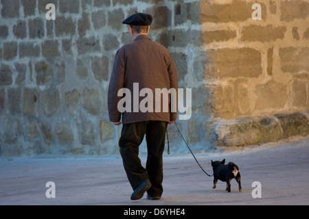 Il vecchio uomo che cammina il suo chihuahua cane per le strade di Laguardia, nel nord della Spagna Foto Stock