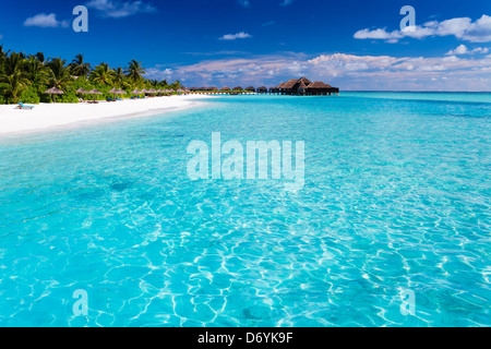 Isola tropicale con spiaggia di sabbia con palme e acqua incontaminata Foto Stock