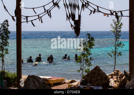 Diving in e intorno al villaggio egiziano di Dahab (Sinai) Foto Stock