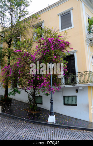 Edificio colorato e lampada posta su di una collina nella vecchia San Juan, Puerto Rico Foto Stock