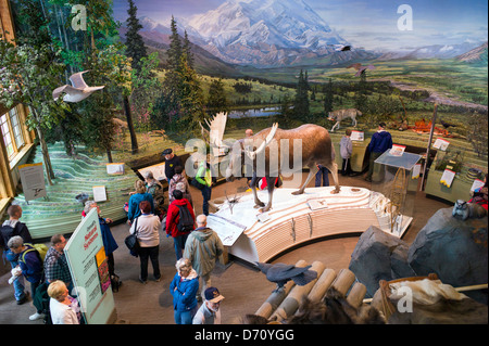 I turisti che visitano il Parco Nazionale di Denali Centro Visitatori, Parco Nazionale di Denali, Alaska, STATI UNITI D'AMERICA Foto Stock