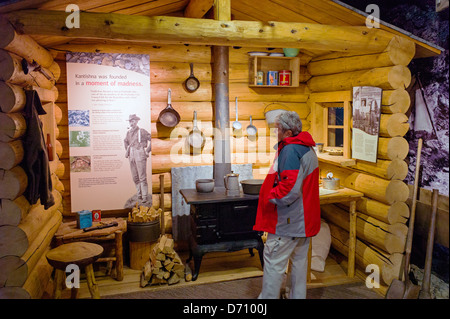 I turisti che visitano il Parco Nazionale di Denali Centro Visitatori, Parco Nazionale di Denali, Alaska, STATI UNITI D'AMERICA Foto Stock