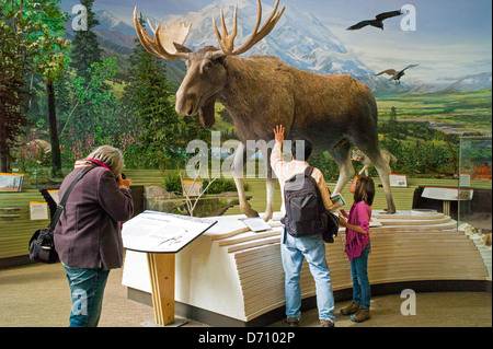 I turisti che visitano il Parco Nazionale di Denali Centro Visitatori, Parco Nazionale di Denali, Alaska, STATI UNITI D'AMERICA Foto Stock