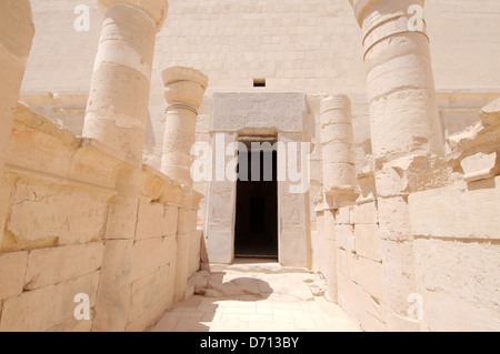 Affreschi sulle pareti del tempio, Tempio mortuario della Regina Hatshepsut, Tempio di Luxor complessa, sito Patrimonio Mondiale dell'UNESCO, Foto Stock