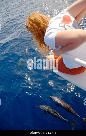 Donna colore rosso alla ricerca sui delfini in barca a vela nei pressi di nave Foto Stock