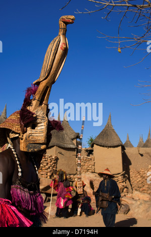 Mali, nei pressi di Bandiagara, Paese Dogon, Bandiagara scarpata, tradizionale danza Dogon in villaggio Foto Stock