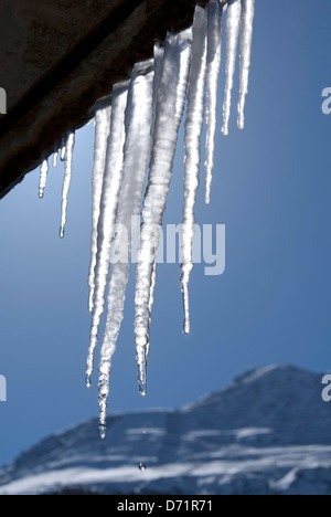 Ghiaccioli gocciolamento come esse fondono sotto il sole Foto Stock