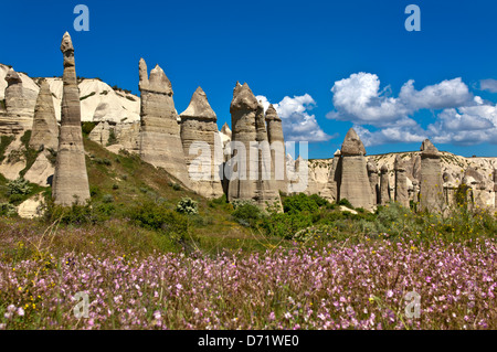 Tuff formazioni rocciose in Love Valley vicino a Uchisar, parco nazionale di Göreme e siti rupestri della Cappadocia, Turchia Foto Stock