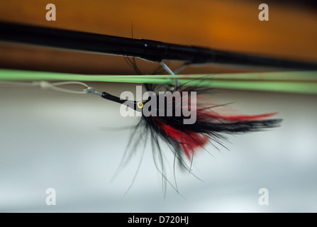 Un fly utilizzati per la cattura di tarpon nella baia di ascensione Yucatan Quintana Roo MEXICO Foto Stock