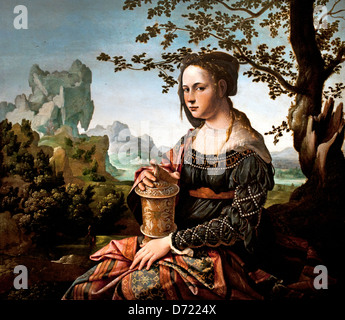 Maria Maddalena 1530 Jan van Scorel 1495 - 1562 Paesi Bassi Paesi Bassi Foto Stock