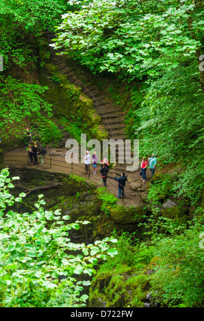 I turisti sui gradini ai piedi di Aira Force cascata nel Parco Nazionale del Distretto dei Laghi, Cumbria, Inghilterra. Foto Stock