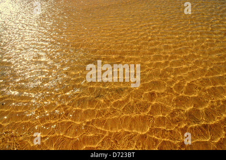 Ondeggiano acqua poco profonda sulla sabbia dorata Foto Stock