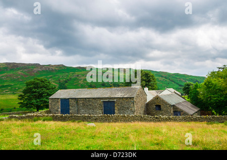 Parkgate fattoria ai piedi di Gobarrow è sceso vicino Dockray nel distretto del lago, Cumbria, Inghilterra. Foto Stock