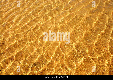 Ondeggiano acqua poco profonda sulla sabbia dorata Foto Stock