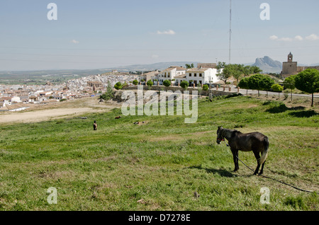 La città di Antequera nella provincia di Malaga, Andalusia, Spagna. Foto Stock