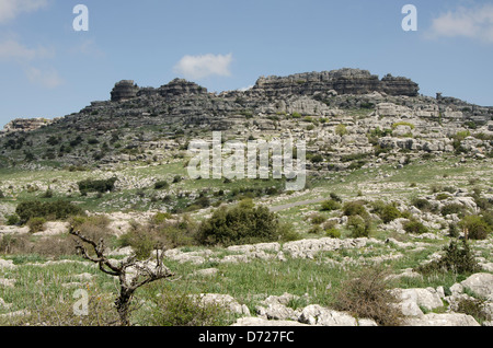 El Torcal de Antequera , riserva naturale della montagna carsica, con caratteristiche formazioni calcaree, provincia di Malaga, Andalusia, Spagna Foto Stock