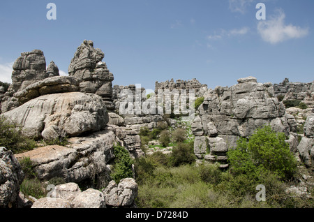 El Torcal de Antequera , riserva naturale della montagna carsica, con caratteristiche formazioni calcaree, provincia di Malaga, Andalusia, Spagna Foto Stock