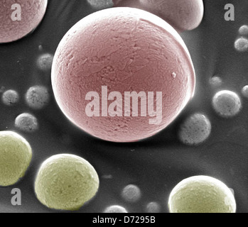 Questa immagine del microscopio elettronico a scansione (SEM) di Hanford mostra il fluoruro di uranio, un materiale chiave nella scienza forense nucleare e nella bonifica ambientale. L’analisi sostiene la ricerca sui cicli del combustibile nucleare, concentrandosi sul comportamento dell’uranio e sul suo impatto ambientale. Foto Stock