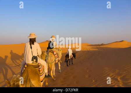 Caravan del cammello nel deserto del Sahara, Ksar Ghilane, Tunisia Foto Stock