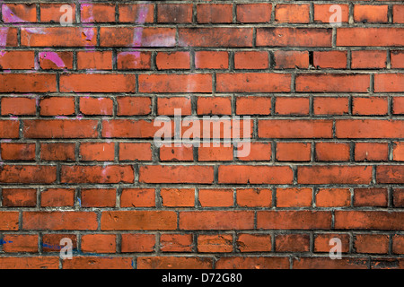 In prossimità di un vecchio e screpolata muro in pietra Foto Stock