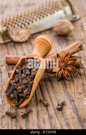 Spice scoop con chiodi di garofano, anice stellato e bastoncini di cannella Foto Stock