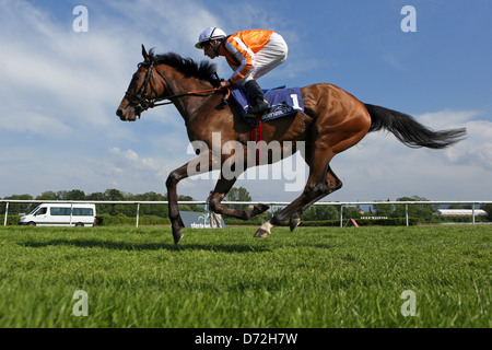 Iffezheim, Germania, Danedream con Andrasch Aufgalopp forte in gara Foto Stock