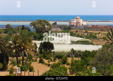 Serra, nei pressi di Mahdia, Tunisia Foto Stock