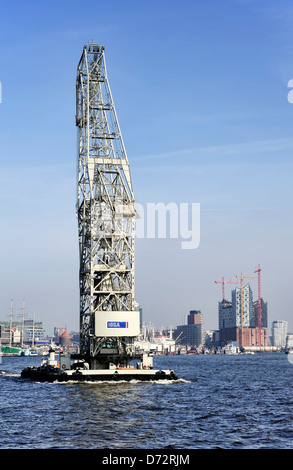 Nuoto gru sul fiume Elba e sullo sfondo la Elbphilharmonie situato in costruzione ad Amburgo, Germania, Europa Foto Stock