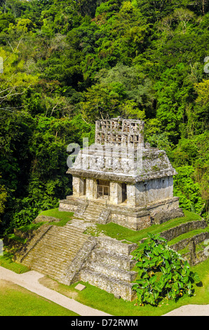 Il tempio del sole presso le rovine Maya di Palenque in Messico Foto Stock