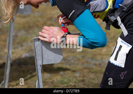 Yorkshire Tre Cime sfida Sabato 27 Aprile, 2013. Guide di scorrimento utilizzando il dibber alla posizione di registro presso la cinquantanovesima annuale di 3 picchi gara con 1000 cadde corridori a partire da i campi da gioco, Horton in Ribblesdale, Nr, Settle, UK. Pen-y-Ghent è il primo picco di essere salito poi Whernside ed infine il picco di Ingleborough. La gara temporizzato utilizzando la SPORTident elettronico sistema di punzonatura. Foto Stock