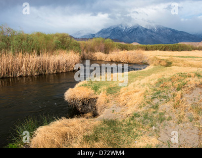 Il fiume Owens e Sierra Nevada Foto Stock