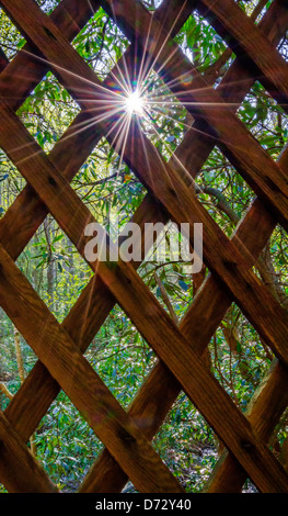 Raggi di sole che splende attraverso una recinzione di legno Foto Stock