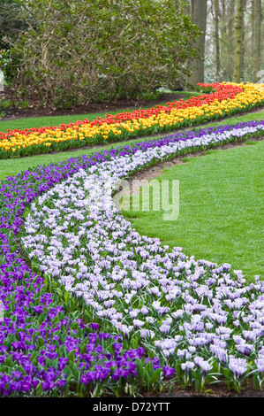 La molla i bulbi presso i giardini Keukenhof, Olanda. Foto Stock