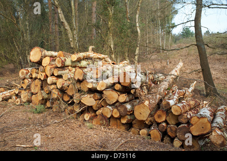 I registri di legname, Superiore Hollesley comune, Suffolk, Regno Unito. Foto Stock