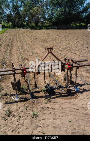 Un aratro usato su un campo si erge di fronte al fresco terreno arato in Santa Barbara County, California. Foto Stock