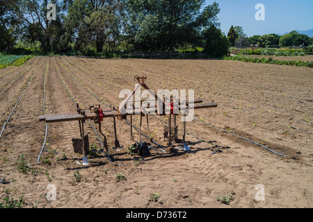 Un aratro usato su un campo si erge di fronte al fresco terreno arato in Santa Barbara County, California. Foto Stock