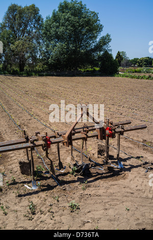 Un aratro usato su un campo si erge di fronte al fresco terreno arato in Santa Barbara County, California. Foto Stock